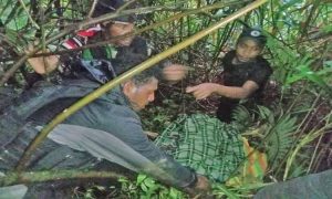 2 Tenaga Medis Pegunungan Bintang yang hilang ditemukan Tim Gabungan TNI POLRI