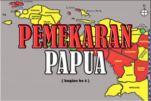 Pentingkah Pemekaran Papua Saat Ini?