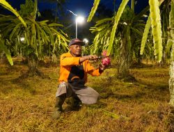 Dukung Produktivitas, PLN Dorong Petani Menuju Pertanian Modern