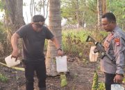 Berantas Miras, Polsek Onggaya Berhasil Amankan Ratusan Liter Minuman Lokal