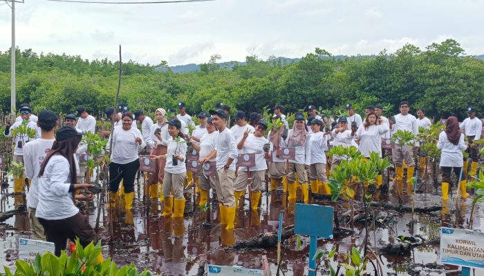 BBPOM di Jayapura Tanam 300 Pohon Mangrove Wujudkan Zero Carbon