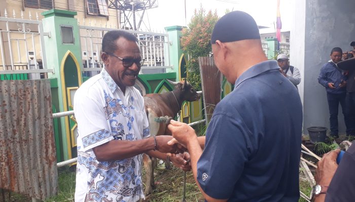 Sekda Kota Jayapura Pimpin penyaluran 16 Ekor sapi qurban ke Masjid